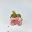 경신교통㈜ | 대구 강아지케이크 추천 당일 예약 가능한 수제간식 전문점 댕스투유