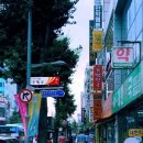 야호관광 이미지