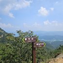 곡성-131 Daum카페