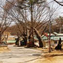 보룡1리 이미지