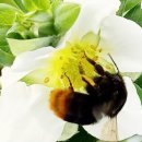 아소농장 이미지