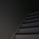 스테이살랑 이미지