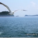 서해바다 난지섬에서 만난 국물이 시원한 칼국수와 바다향 깊은 싱싱한 우럭회 당진맛집 섬사랑 이미지