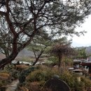 낭성칼국수 | 아기랑 청주 낭성 맛집 선녀와나무꾼 찜질방과 족욕