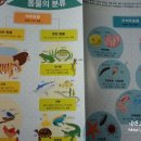 바깥자포 이미지