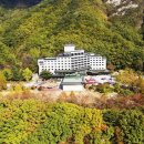 스타호텔 이미지