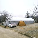 양평 드림캠핑장 | 입실 빠른 양평드림캠핑장 에어바운스 있는 키즈캠핑장