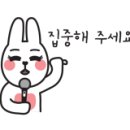 멍멍왕자 야옹공주 이미지