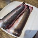 서초 장어타운 이미지