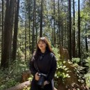 COVE | 밴쿠버 근교 Deep Cove 방문 후기 🇨🇦 | 주차 팁부터 Quarry Rock 하이킹까지