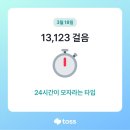 자유랜드 이미지