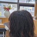 당진 수청동 미용실 추천｜리앤드프리미엄살롱 얼굴소멸펌 + 소멸컷 후기