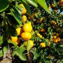 성의농장 이미지