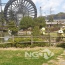 불갑농촌테마공원 이미지