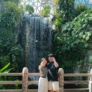 거제 선셋한옥 & 오션리조트 | 거제여행] 여름휴가 day 1:: 거제식물원 | 매미성 | 물레방아 한정식 | 거제 선셋 한옥펜션 &amp; 리조트