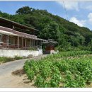 상평2리 이미지