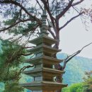 석림정사 티스토리