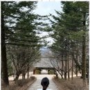 궁 짐 | 모란점집 마음의 짐을 내려놓다, 성남 월명궁 방문 후기