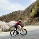 6560 | 프린스턴 카본웍스 WAKE 6560 택틱허브 화이트 후기