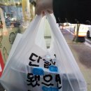 회와 멍게 친구들 이미지