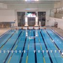 왕비다방 이미지