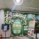 아이와 함께 가볼만한 곳! 인천 실내동물원 ‘쥬벅스’ 후기
