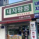 경복궁 내자땅콩 / 광화원, 익선동 카페하이웨스트 방문 후기
