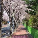 정금부동산공인중개사사무소 네이버블로그