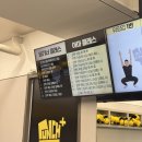 더플러스 복싱 | 대구 달서구 진천동 복싱 펀치플러스 하루 40분운동으로 다이어트