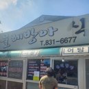 신호동체육관 이미지