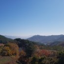 수원-0183 Daum카페