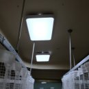 건영한의원 이미지