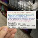 알로하 청송 이미지