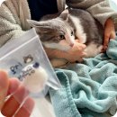 송파 마리동물병원 이미지