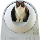 오에프티 이미지