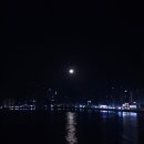 광안리 오션뷰 호텔 "오션 더 포인트 호텔" 내돈내산 후기