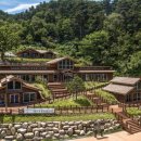 치유의 숲 이미지