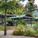 수덕 캠핑장 이미지