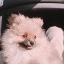 로하동물병원 이미지