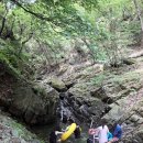 숲속산장 | 내돈내산! 양주 계곡 평상 피서, 기산유원지 숲속산장 솔직후기