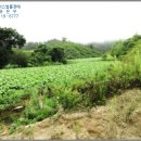 에이스목장 이미지