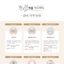 예플에스테틱 - 고양시 일산동구 일산로 46 | 예플에스테틱