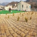 멍.슈슈 이미지