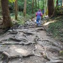 다산초당권역 이미지