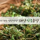 KBS 한우농장 이미지