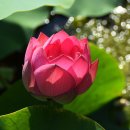 김포시 노인복지회관 이미지