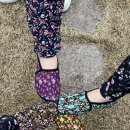 자락스테이 이미지