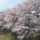 박씨네추어탕 - 김포시 | 박씨네추어탕
