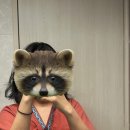 만성산업 | [몸마음수기테라피] 만성피로때문에 찾아본 에너지테라피 후기(동탄역마사지)