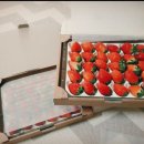 여주-0749 이미지